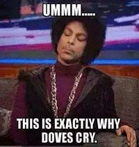 doves cry